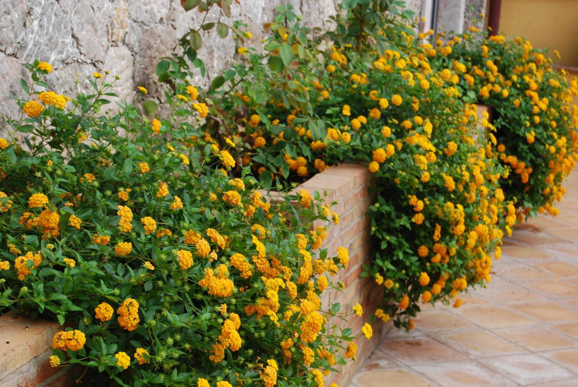 Villa Angela Taormina Exterior foto